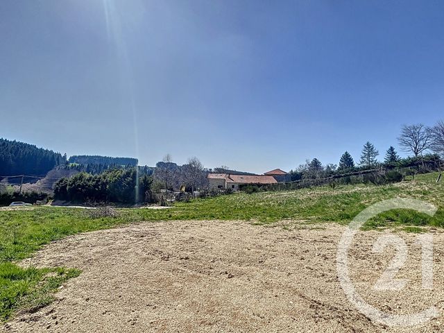 terrain - ST JUST MALMONT - 43
