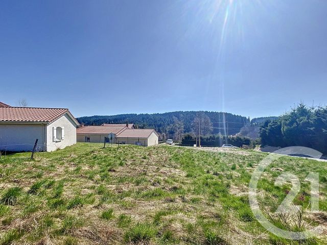 terrain - ST JUST MALMONT - 43