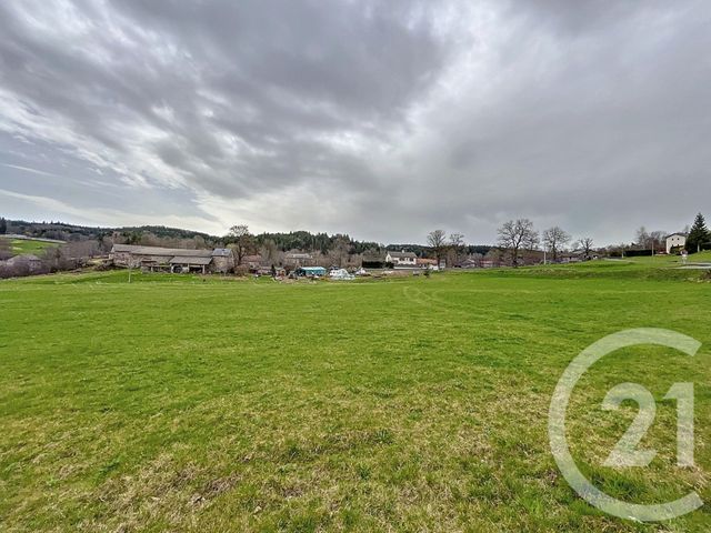 Afficher la photo en grand terrain à vendre - 1000.0 m2 - ST JEURES - 43 - AUVERGNE - Century 21 Agence Des Sucs