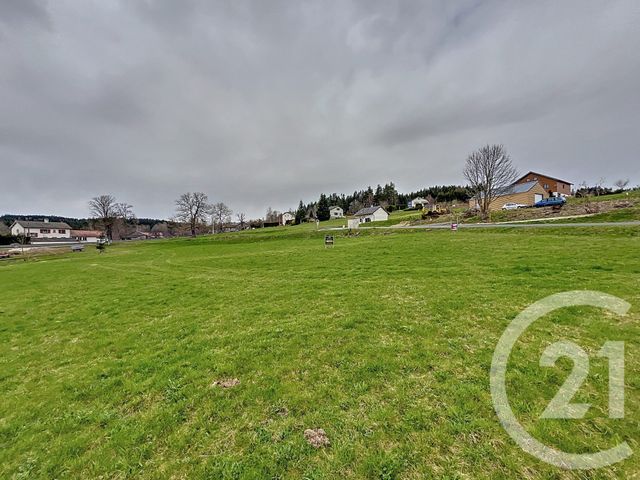Afficher la photo en grand terrain à vendre - 1000.0 m2 - ST JEURES - 43 - AUVERGNE - Century 21 Agence Des Sucs