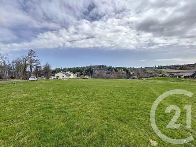 Afficher la photo en grand terrain à vendre - 1000.0 m2 - ST JEURES - 43 - AUVERGNE - Century 21 Agence Des Sucs