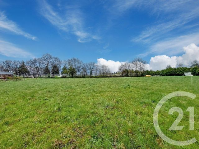 terrain - YSSINGEAUX - 43