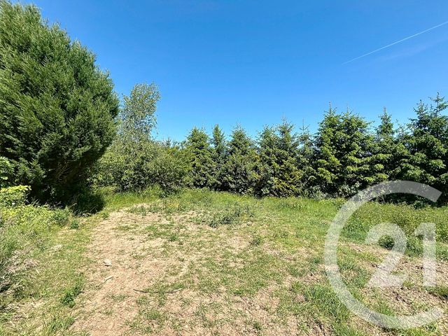 terrain à vendre - 1054.0 m2 - STE SIGOLENE - 43 - AUVERGNE - Century 21 Agence Des Sucs