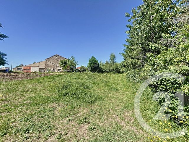 terrain à vendre - 1054.0 m2 - STE SIGOLENE - 43 - AUVERGNE - Century 21 Agence Des Sucs