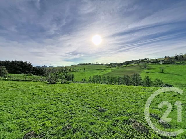 maison à vendre - 10 pièces - 296.06 m2 - YSSINGEAUX - 43 - AUVERGNE - Century 21 Agence Des Sucs