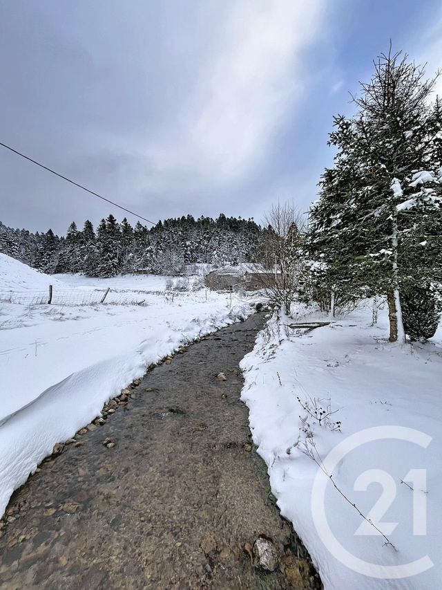 maison à vendre - 4 pièces - 178.0 m2 - MONTREGARD - 43 - AUVERGNE - Century 21 Agence Des Sucs