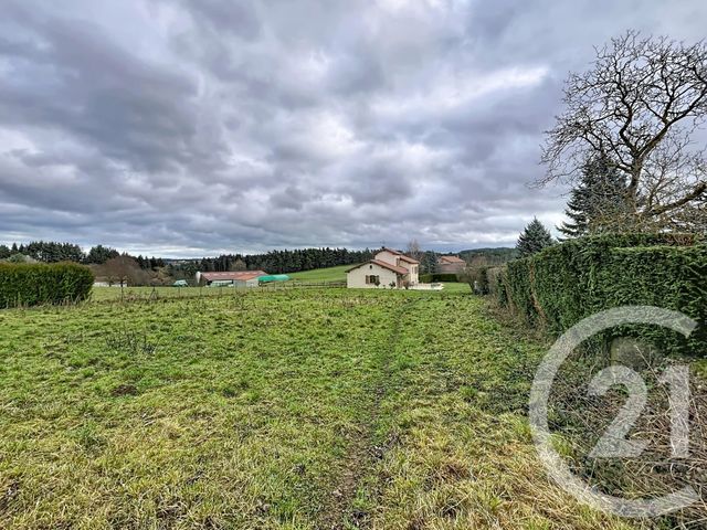 terrain à vendre - 1480.0 m2 - GRAZAC - 43 - AUVERGNE - Century 21 Agence Des Sucs