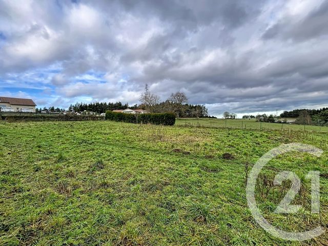 terrain à vendre - 1480.0 m2 - GRAZAC - 43 - AUVERGNE - Century 21 Agence Des Sucs