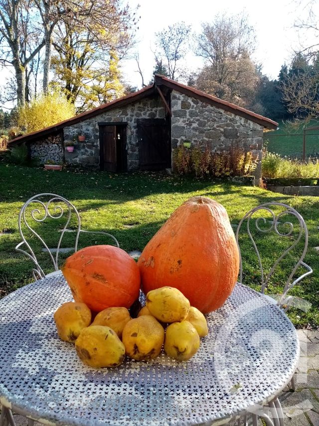 maison à vendre - 10 pièces - 331.0 m2 - MONTREGARD - 43 - AUVERGNE - Century 21 Agence Des Sucs