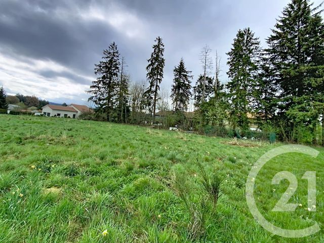 terrain à vendre - 1750.0 m2 - RAUCOULES - 43 - AUVERGNE - Century 21 Agence Des Sucs