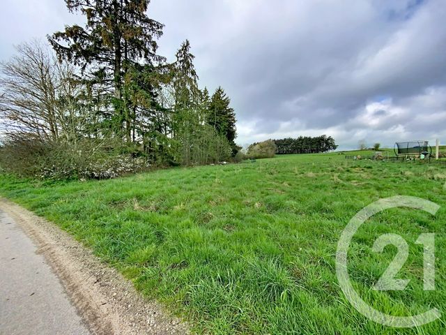 terrain à vendre - 1750.0 m2 - RAUCOULES - 43 - AUVERGNE - Century 21 Agence Des Sucs