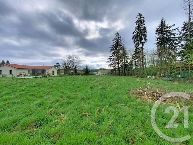 terrain à vendre - 1750.0 m2 - RAUCOULES - 43 - AUVERGNE - Century 21 Agence Des Sucs