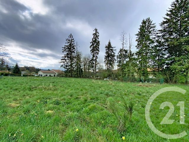terrain à vendre - 1750.0 m2 - RAUCOULES - 43 - AUVERGNE - Century 21 Agence Des Sucs