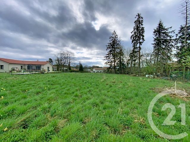 terrain à vendre - 1750.0 m2 - RAUCOULES - 43 - AUVERGNE - Century 21 Agence Des Sucs