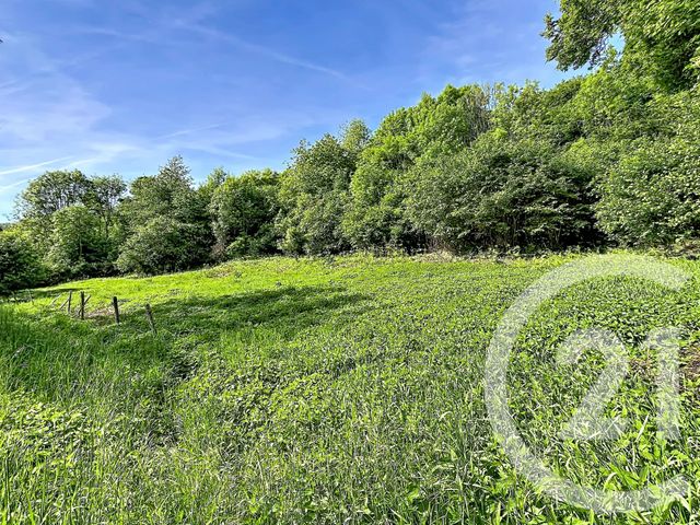 terrain à vendre - 31130.0 m2 - RETOURNAC - 43 - AUVERGNE - Century 21 Agence Des Sucs