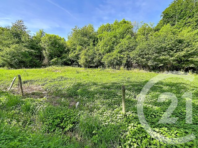 terrain à vendre - 31130.0 m2 - RETOURNAC - 43 - AUVERGNE - Century 21 Agence Des Sucs