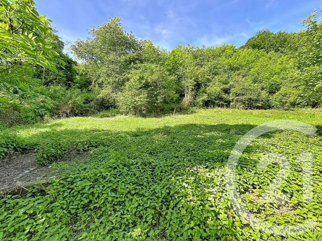 terrain à vendre - 31130.0 m2 - RETOURNAC - 43 - AUVERGNE - Century 21 Agence Des Sucs