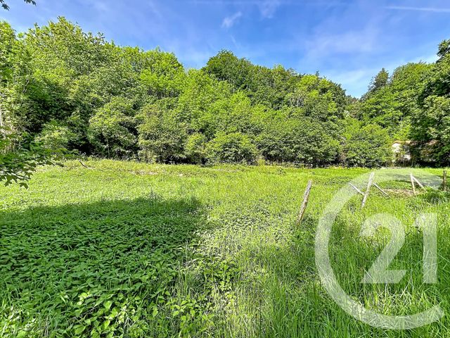terrain à vendre - 31130.0 m2 - RETOURNAC - 43 - AUVERGNE - Century 21 Agence Des Sucs
