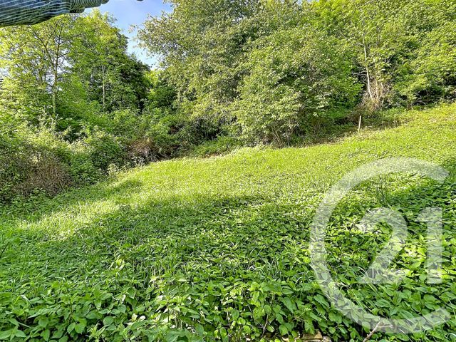 terrain à vendre - 31130.0 m2 - RETOURNAC - 43 - AUVERGNE - Century 21 Agence Des Sucs