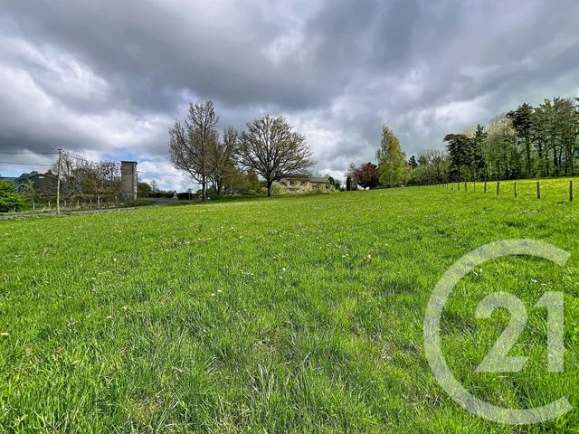 terrain à vendre - 1400.0 m2 - ST JULIEN DU PINET - 43 - AUVERGNE - Century 21 Agence Des Sucs