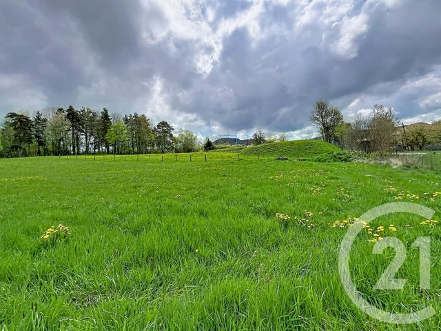 terrain à vendre - 1400.0 m2 - ST JULIEN DU PINET - 43 - AUVERGNE - Century 21 Agence Des Sucs