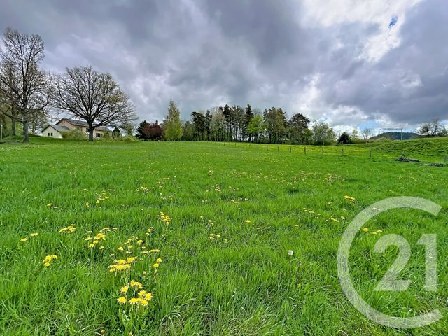 terrain à vendre - 1400.0 m2 - ST JULIEN DU PINET - 43 - AUVERGNE - Century 21 Agence Des Sucs