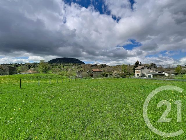 Terrain à vendre ST JULIEN DU PINET