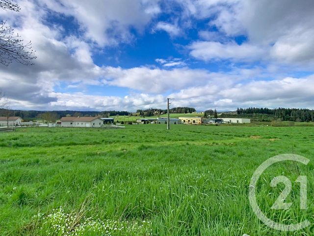terrain à vendre - 1093.0 m2 - RAUCOULES - 43 - AUVERGNE - Century 21 Agence Des Sucs