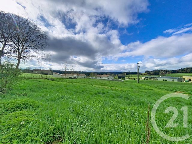 terrain à vendre - 1093.0 m2 - RAUCOULES - 43 - AUVERGNE - Century 21 Agence Des Sucs