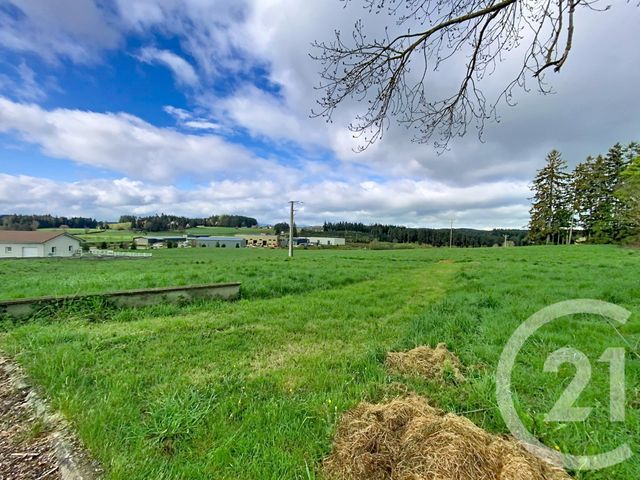 terrain à vendre - 1093.0 m2 - RAUCOULES - 43 - AUVERGNE - Century 21 Agence Des Sucs