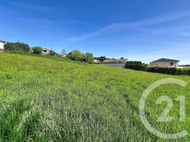 terrain à vendre - 2745.0 m2 - STE SIGOLENE - 43 - AUVERGNE - Century 21 Agence Des Sucs