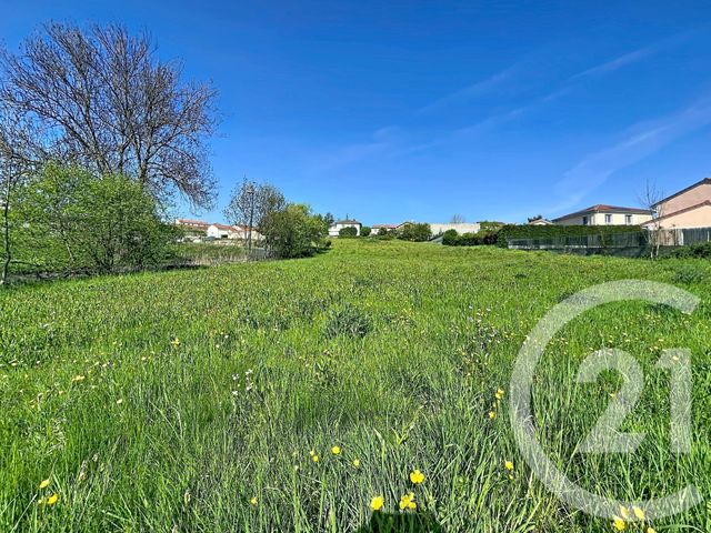 terrain à vendre - 2745.0 m2 - STE SIGOLENE - 43 - AUVERGNE - Century 21 Agence Des Sucs
