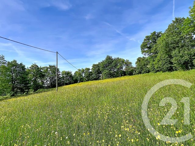terrain à vendre - 1000.0 m2 - RETOURNAC - 43 - AUVERGNE - Century 21 Agence Des Sucs
