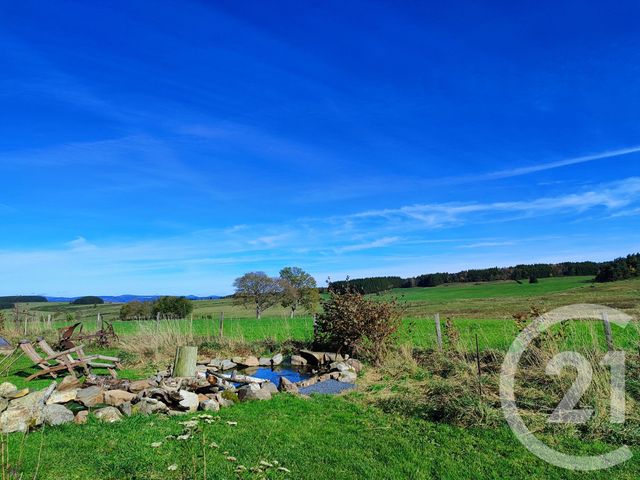 maison à vendre - 8 pièces - 375.0 m2 - FAY SUR LIGNON - 43 - AUVERGNE - Century 21 Agence Des Sucs