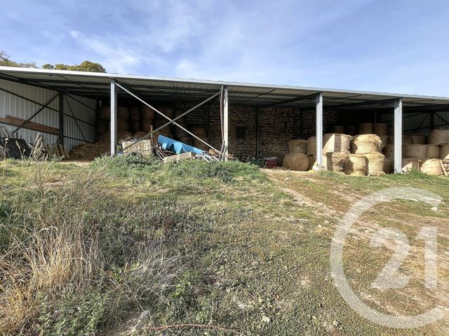 maison à vendre - 5 pièces - 88.13 m2 - CHENEREILLES - 43 - AUVERGNE - Century 21 Agence Des Sucs