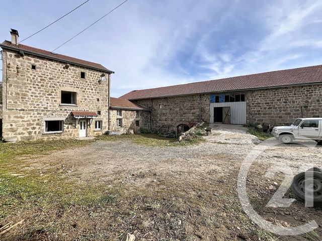 maison - CHENEREILLES - 43