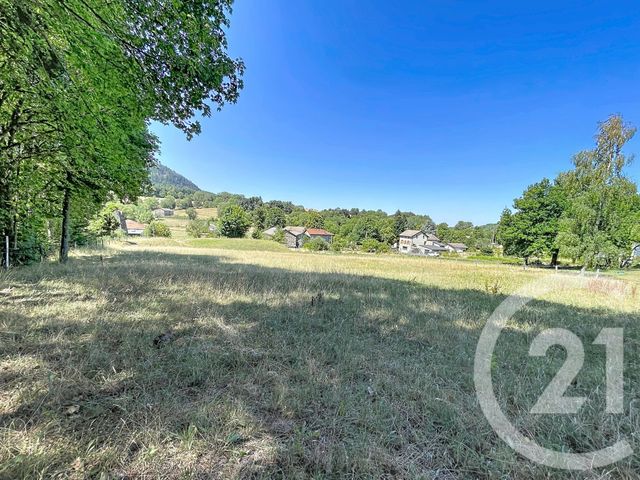 terrain à vendre - 1500.0 m2 - ST JULIEN DU PINET - 43 - AUVERGNE - Century 21 Agence Des Sucs