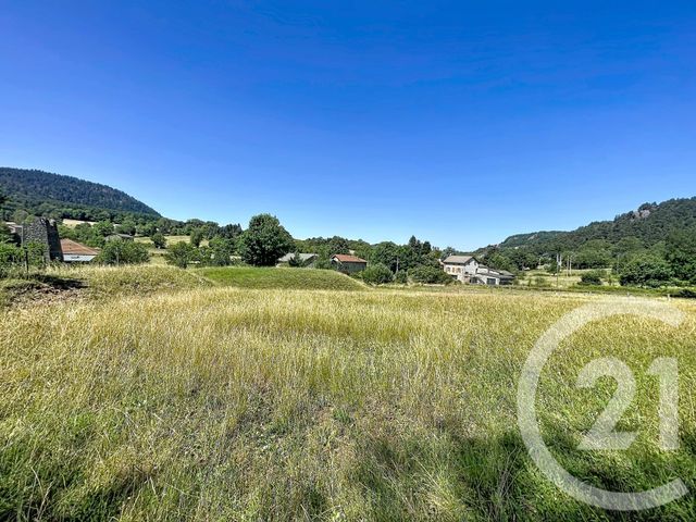 terrain à vendre - 1500.0 m2 - ST JULIEN DU PINET - 43 - AUVERGNE - Century 21 Agence Des Sucs