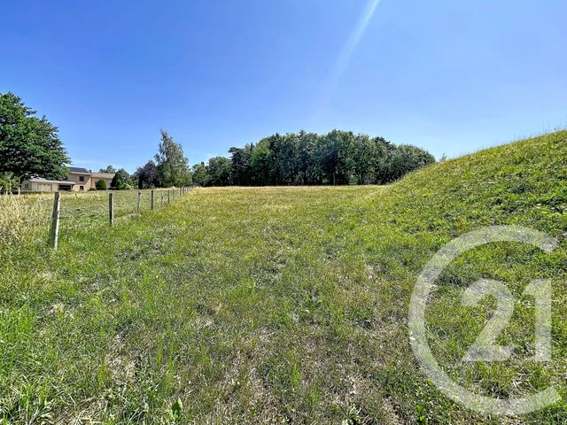 terrain à vendre - 1500.0 m2 - ST JULIEN DU PINET - 43 - AUVERGNE - Century 21 Agence Des Sucs