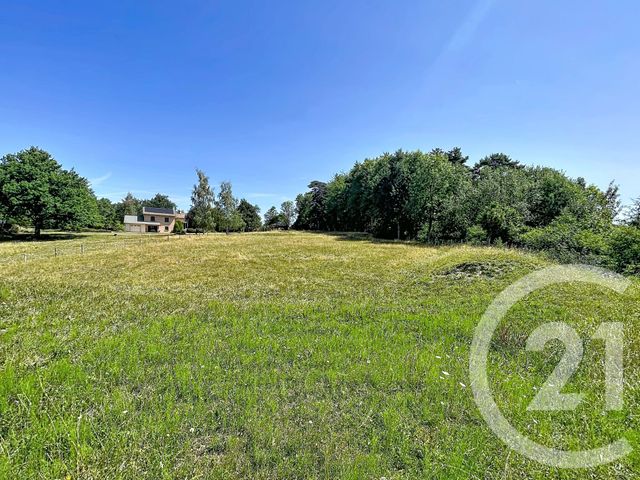 terrain à vendre - 3000.0 m2 - ST JULIEN DU PINET - 43 - AUVERGNE - Century 21 Agence Des Sucs
