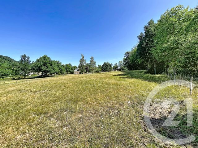 terrain à vendre - 3000.0 m2 - ST JULIEN DU PINET - 43 - AUVERGNE - Century 21 Agence Des Sucs