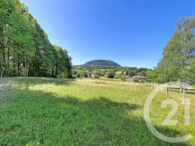 terrain à vendre - 3000.0 m2 - ST JULIEN DU PINET - 43 - AUVERGNE - Century 21 Agence Des Sucs