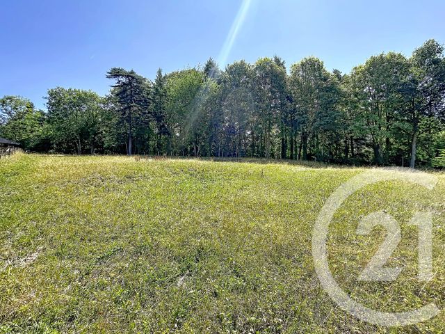terrain à vendre - 3000.0 m2 - ST JULIEN DU PINET - 43 - AUVERGNE - Century 21 Agence Des Sucs