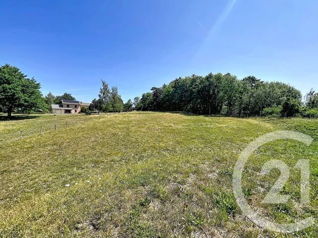 terrain à vendre - 3000.0 m2 - ST JULIEN DU PINET - 43 - AUVERGNE - Century 21 Agence Des Sucs
