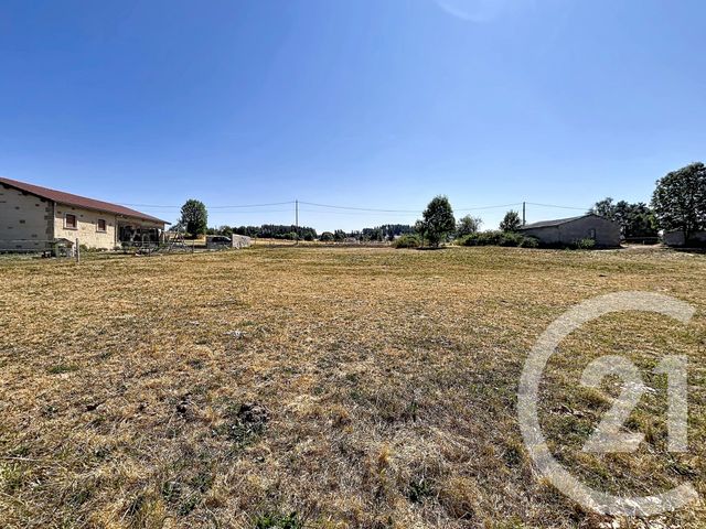 terrain à vendre - 1243.0 m2 - GRAZAC - 43 - AUVERGNE - Century 21 Agence Des Sucs