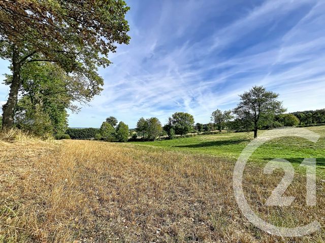 terrain à vendre - 6178.0 m2 - BEAUX - 43 - AUVERGNE - Century 21 Agence Des Sucs