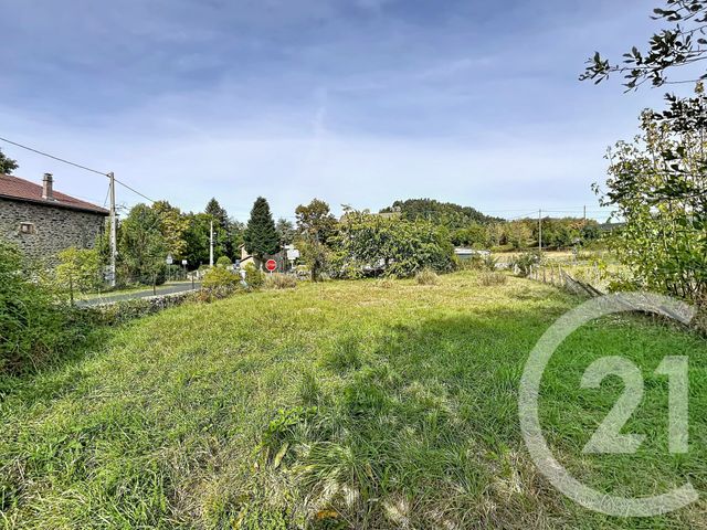 terrain - ST JULIEN DU PINET - 43